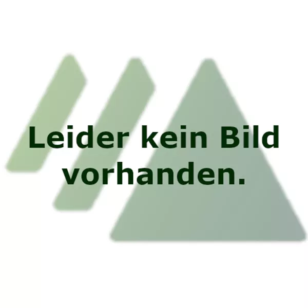 Juglans regia 'Lara' Juglans regia 'Lara'