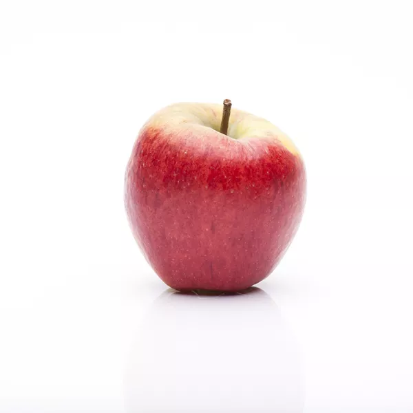 Malus domestica 'Rondo'
