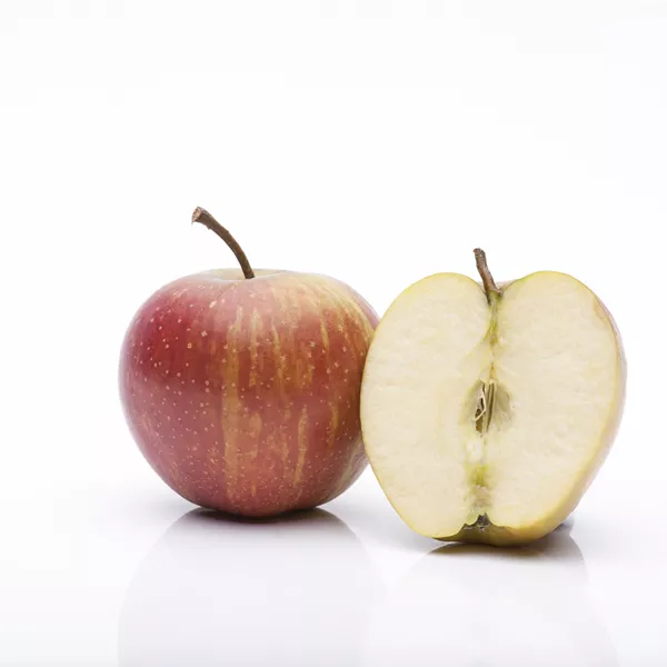Malus domestica 'Rubinette'