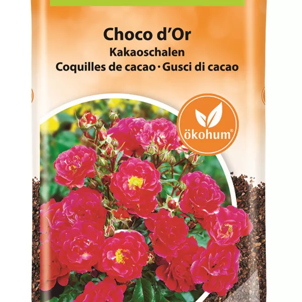 Choco d'Or