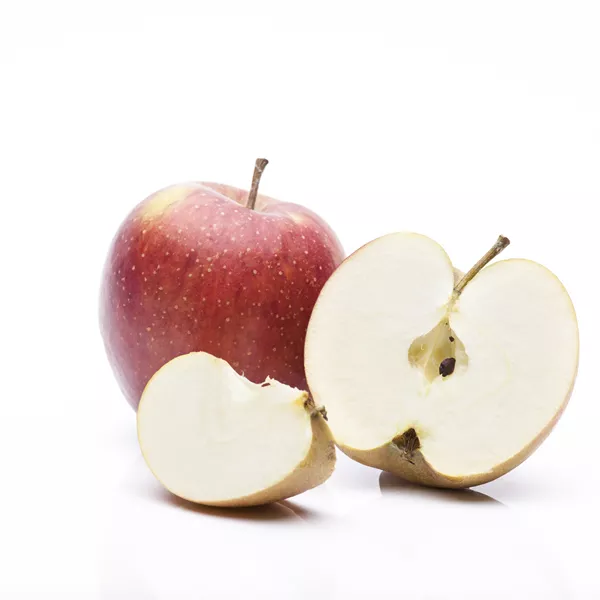 Malus domestica 'Allegro'